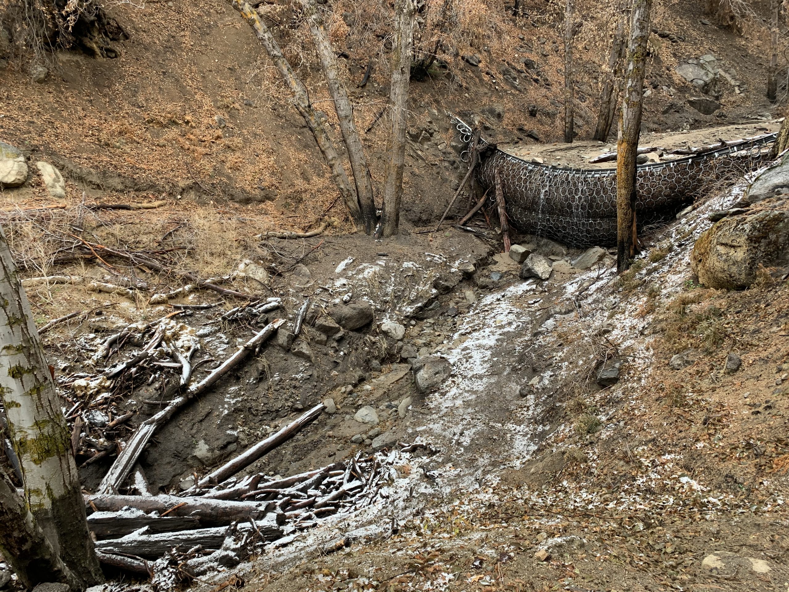 Debris flow barrier collecting rocks and branches.