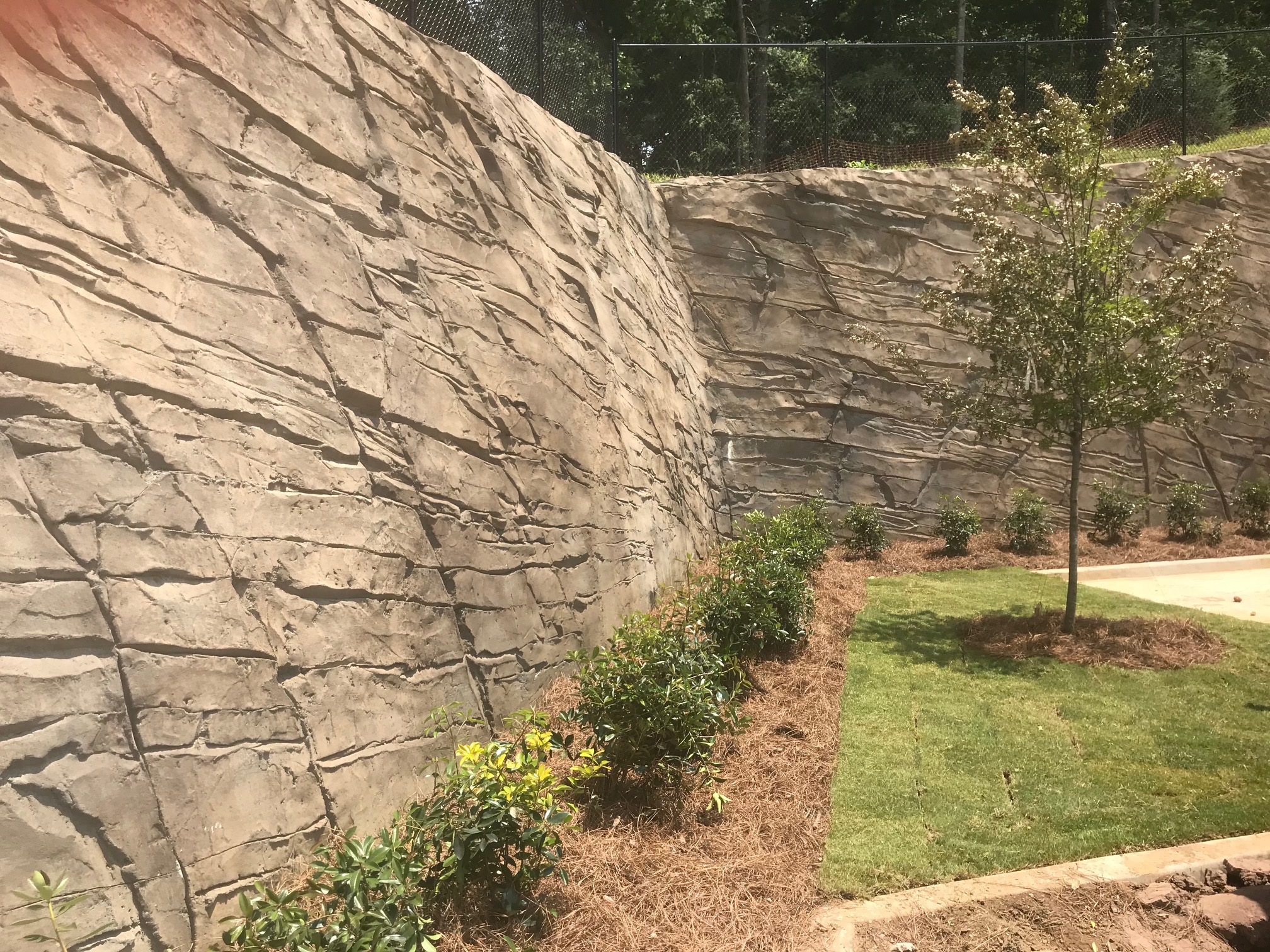 Sculpted shotcrete