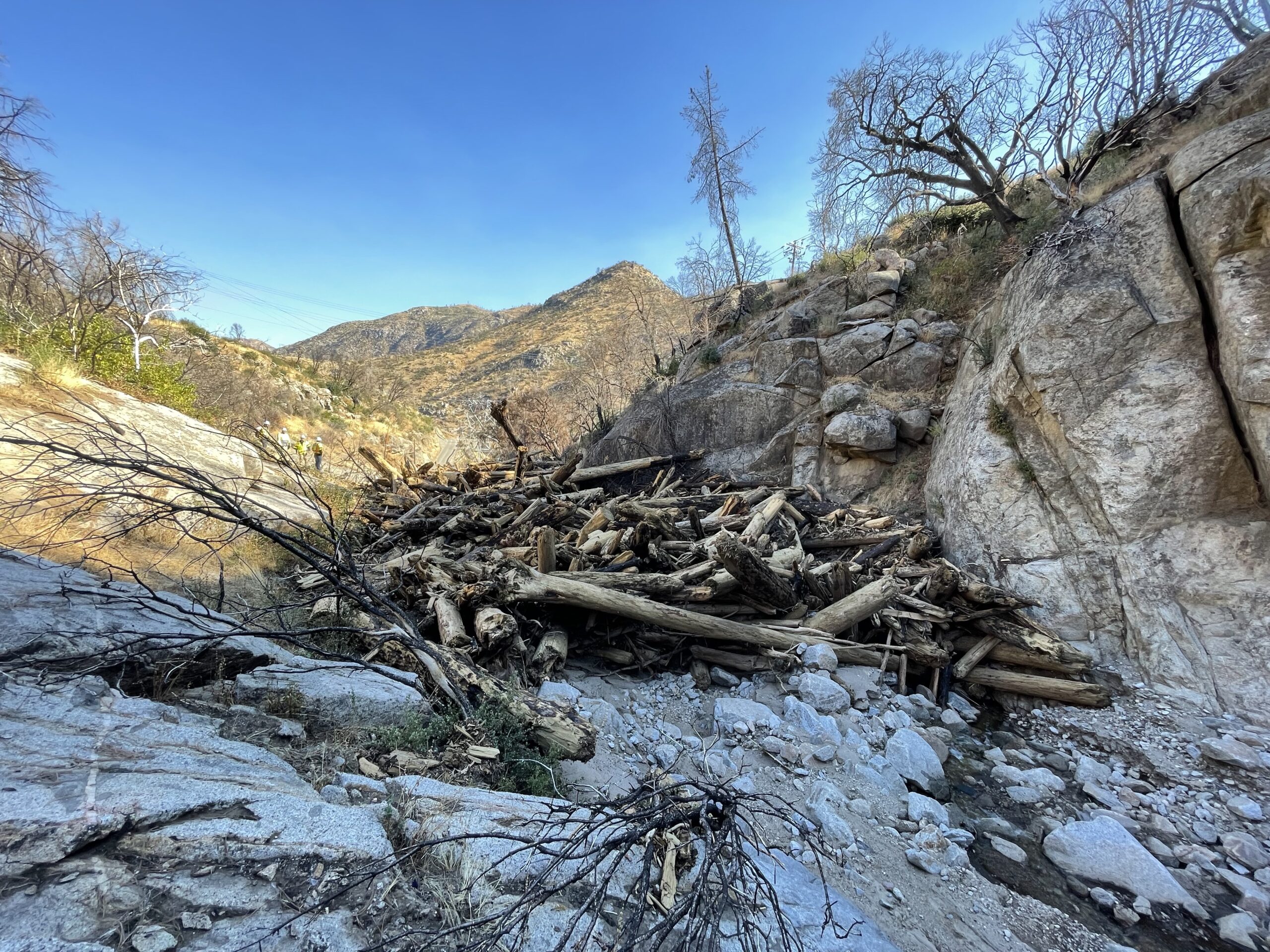 Large pile of fallen trees and debris blocking a rocky canyon.