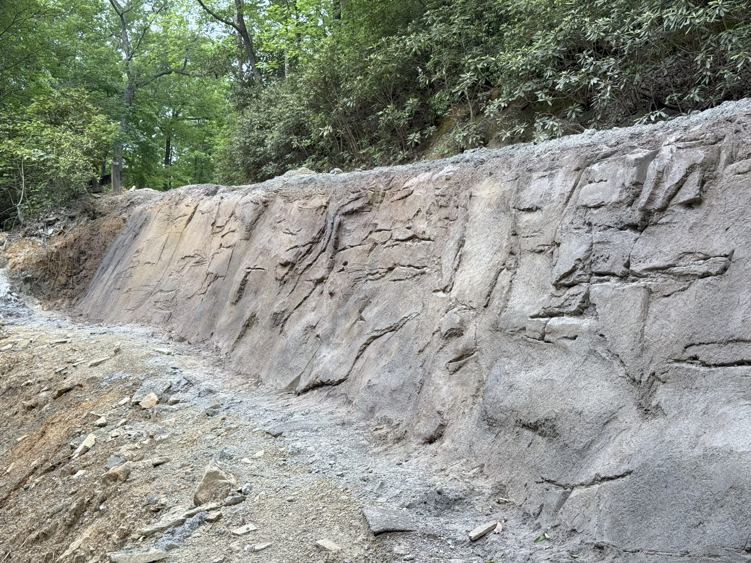 Sculpted Shotcrete