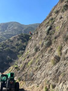 Crew members scaling a steep mountainside to install rockfall protection mesh.