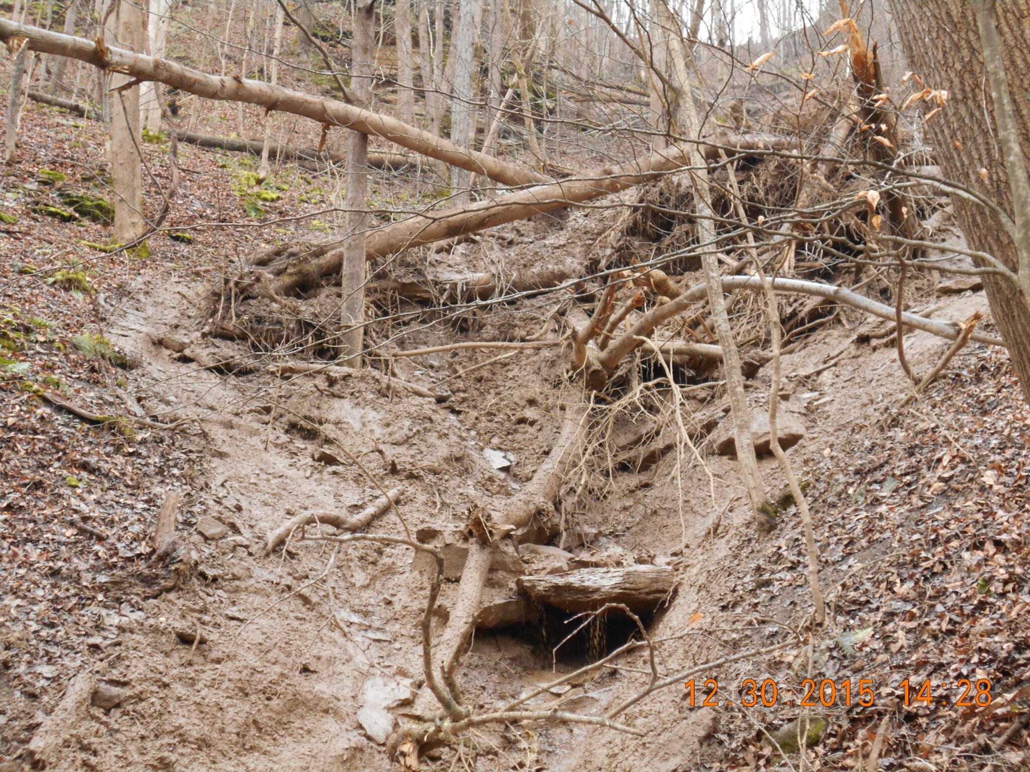 Debris